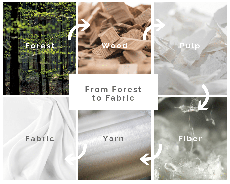 from forest to fabric collage